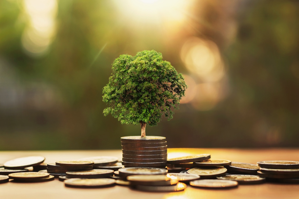 Employee financial wellness workshop presentation